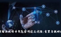 如何解决比特币钱包密码